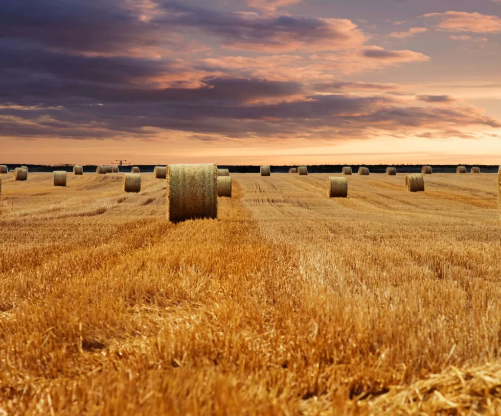 Field Application Rate Converter