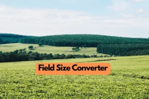 Field Size Converter